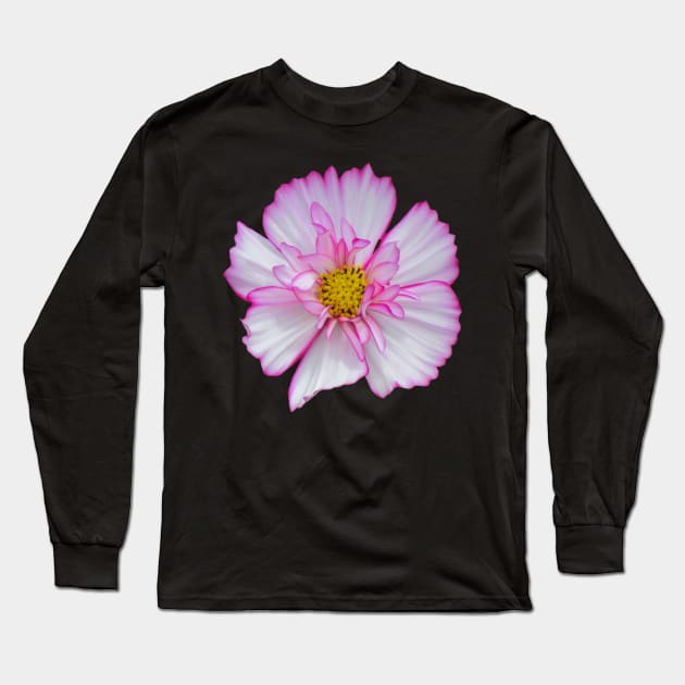 pink flower, blooms, flowers, petals, garden Long Sleeve T-Shirt by rh_naturestyles